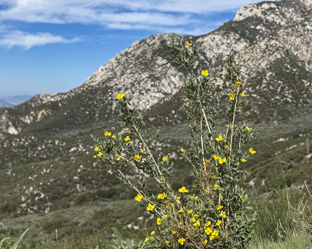 Adam In LA LA Land tweet media