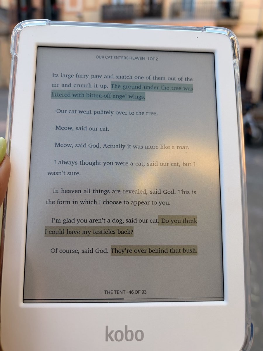 hemera 🇵🇸 tweet media