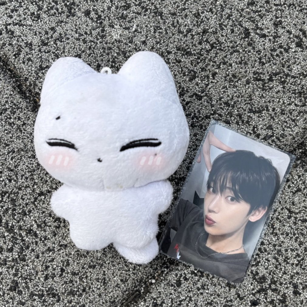 캣떠니 tweet media