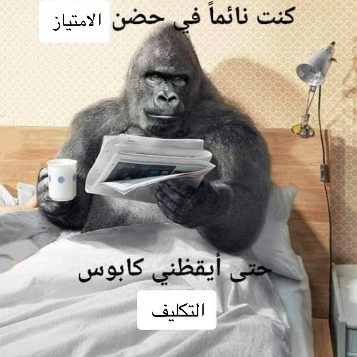 Eslam Ramadan tweet media
