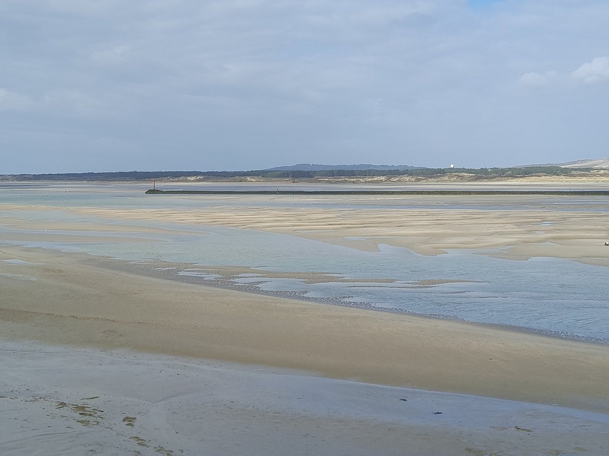 Lionel C. tweet media