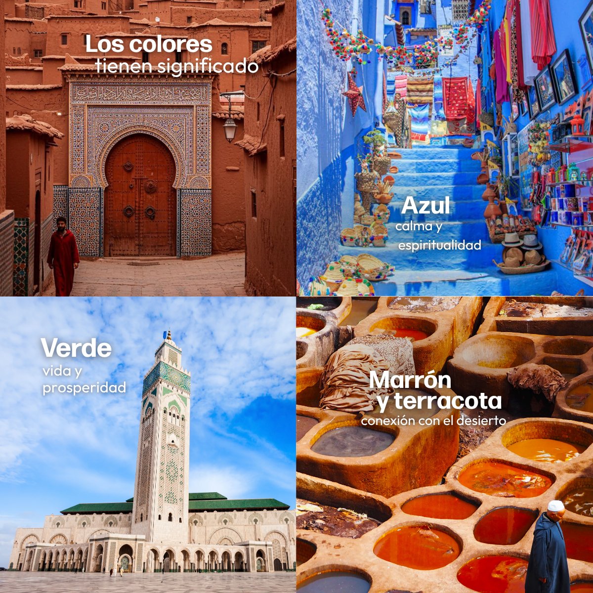 Mega Travel 🇲🇽 tweet media