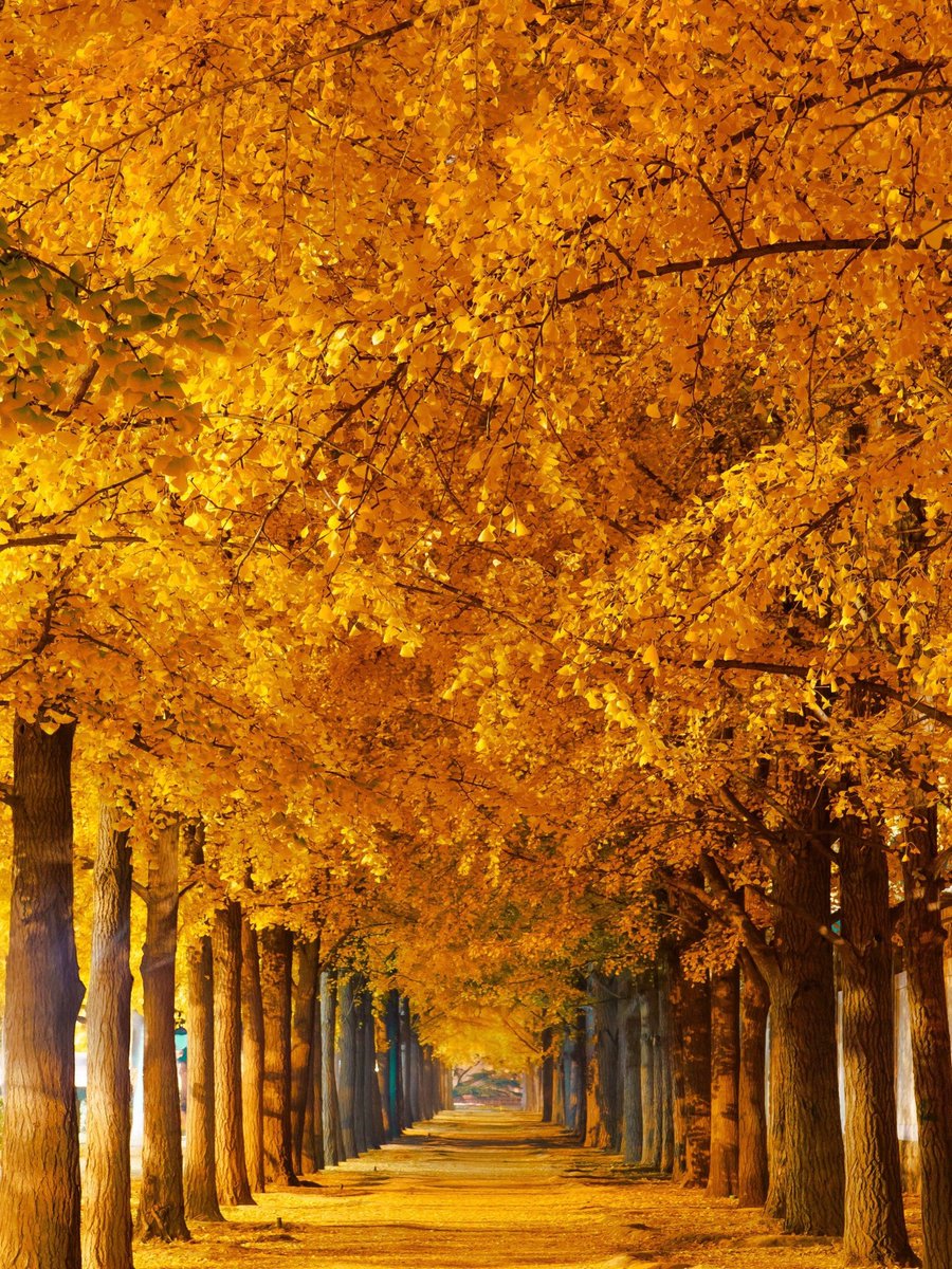 Algny Family Network tweet media