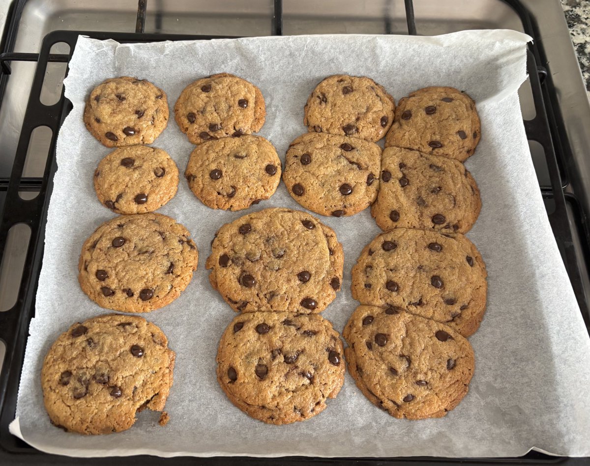 canelinha 🪲🇵🇸 tweet media