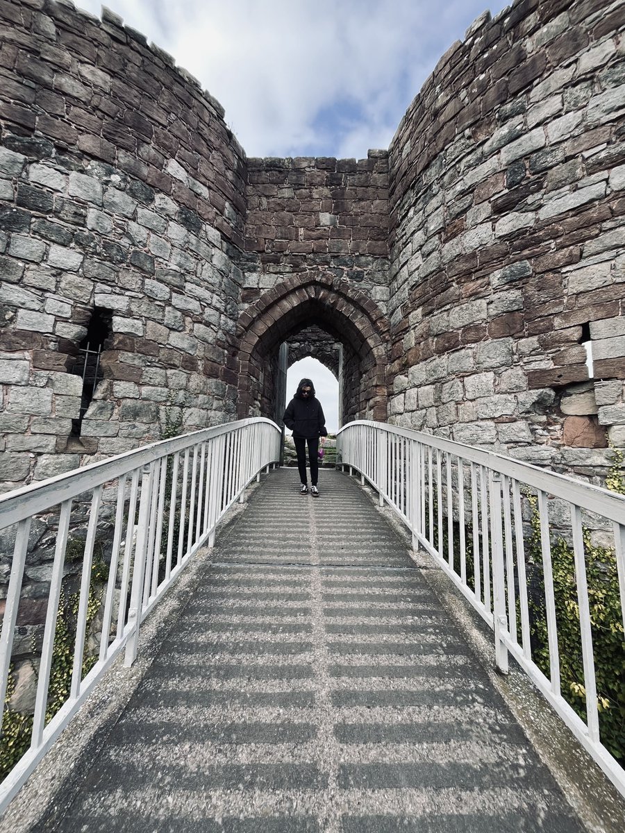 Polly ❤️ tweet media