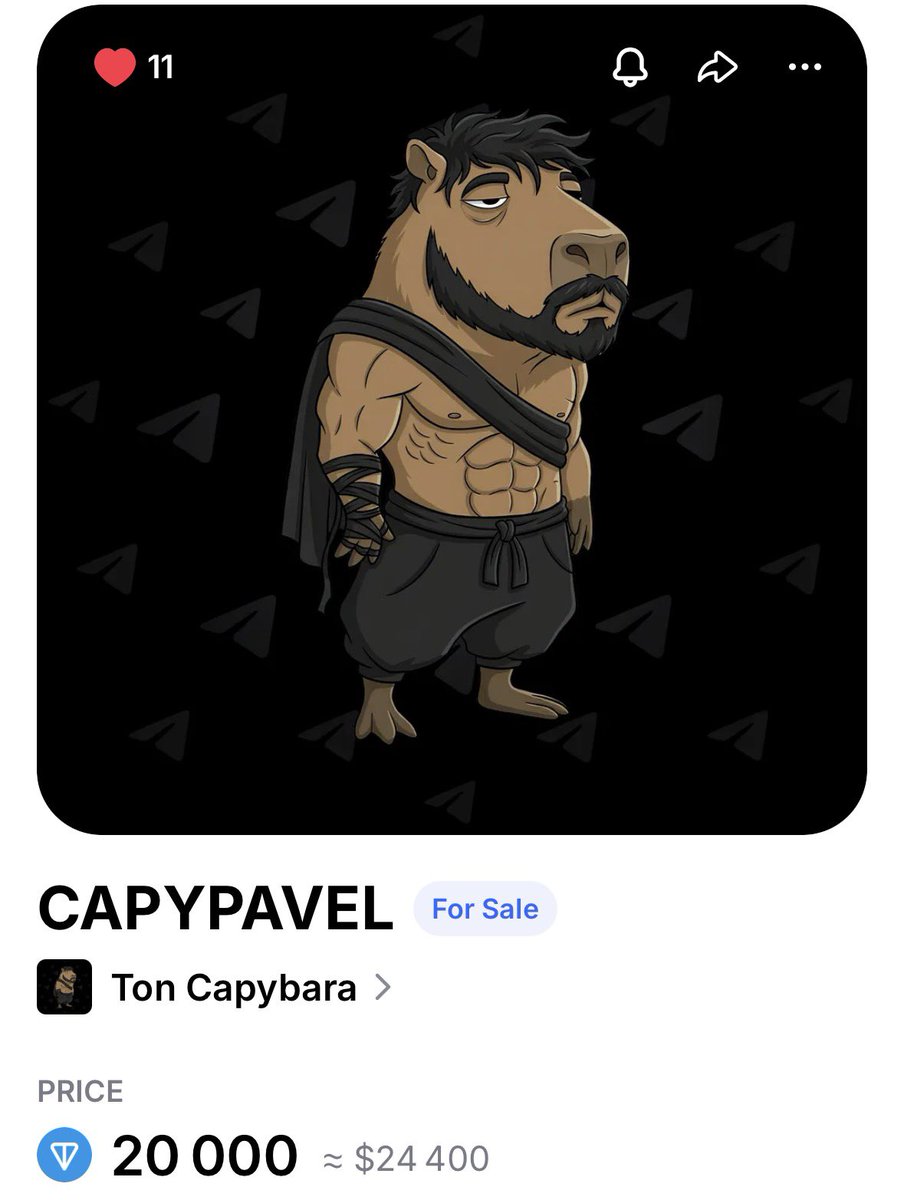 Ton Capybara tweet media