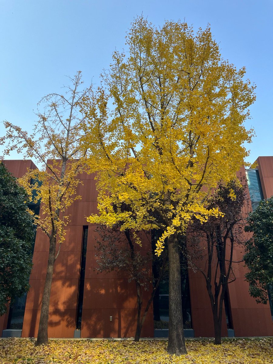 charu paranjape tweet media