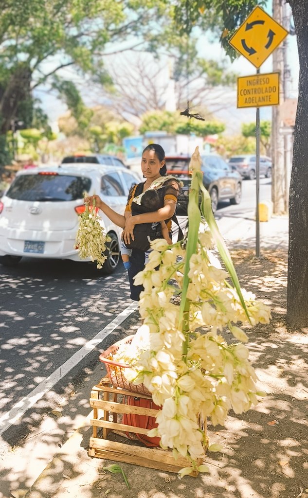 La Semana Santa ya comenzó para muchos, pero los «emprendedores» nunca dejan de trabajar.
No hay mayores símbolos patrios que la verdadera flor nacional: una madre con su hijo en brazos mientras se gana la vida El Salvador de hoy.
