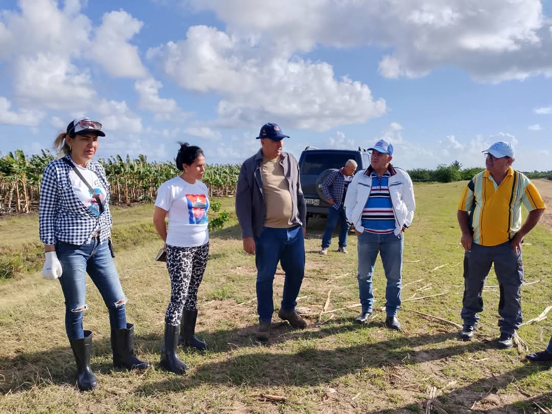 Ministerio de la Agricultura de Cuba tweet media