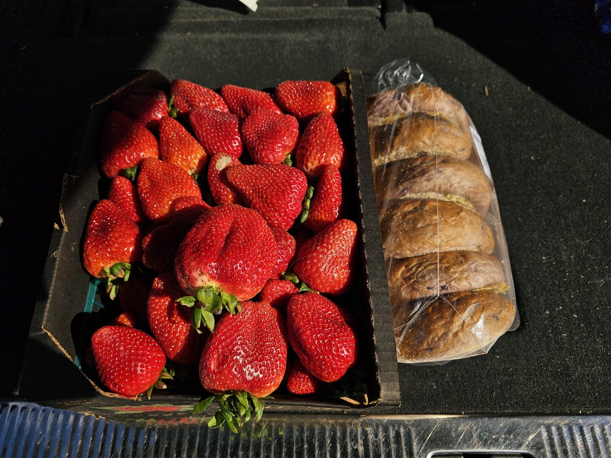 Blue Capsule⚠ tweet media