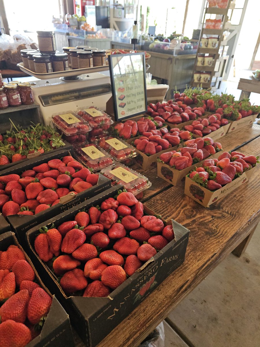 Blue Capsule⚠ tweet media