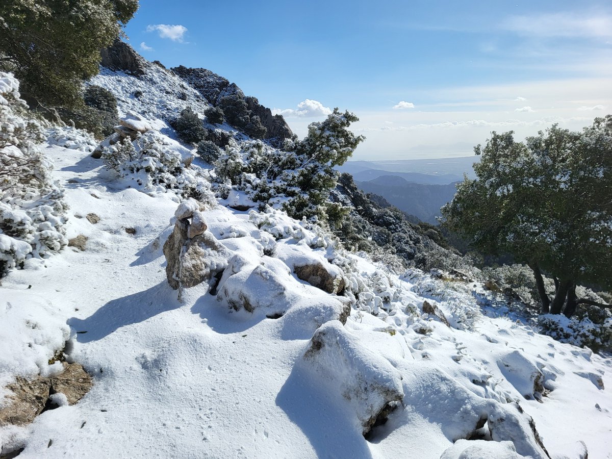 El temps IB3 tweet media