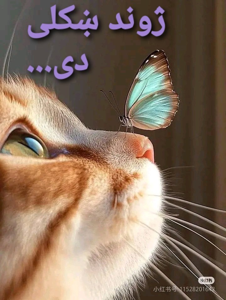 🍂 HosSai. tweet media