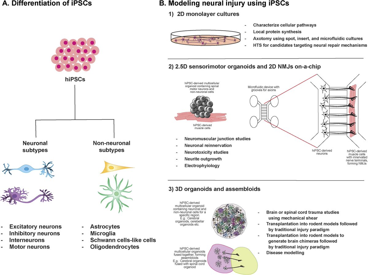 Science Advancement and Outreach tweet media