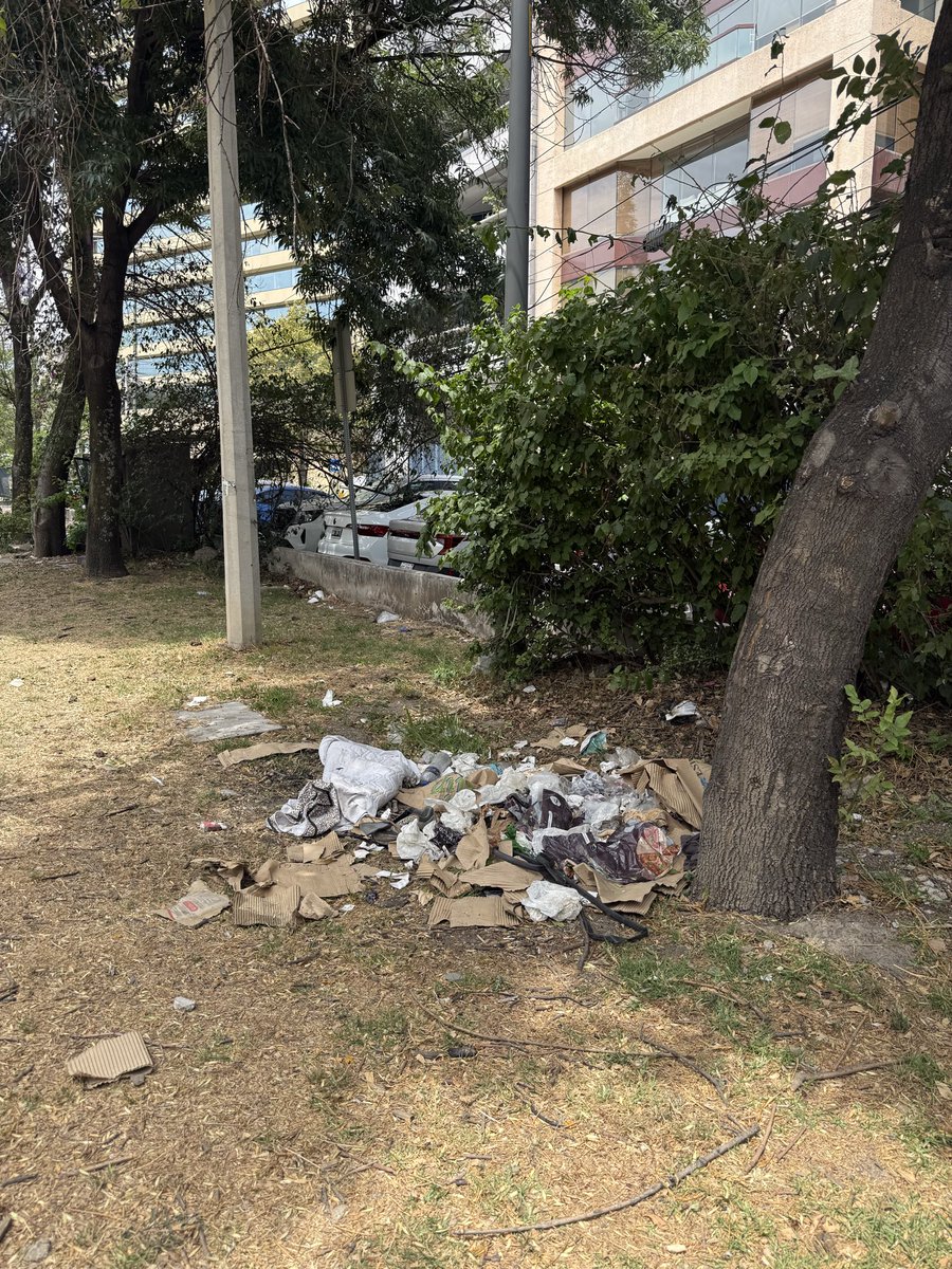 catabuchanan's tweet photo. La negligencia de atender, mantener y limpiar el Parque Libano es algo inentendible. @MHcesac @ChapultepecCDMX @AlcaldiaMHmx @SEDEMA_CDMX  Quien responde porque esto? El Bosque de Chapultepec deberia pero no lo hace.. https://t.co/dLZLMykURO