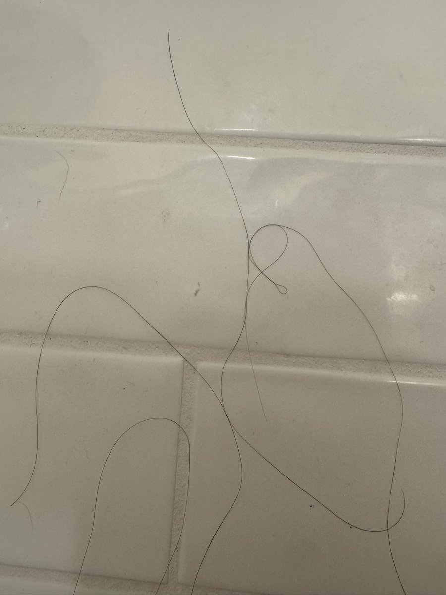 Simulator di tutti i Simulatori tweet media