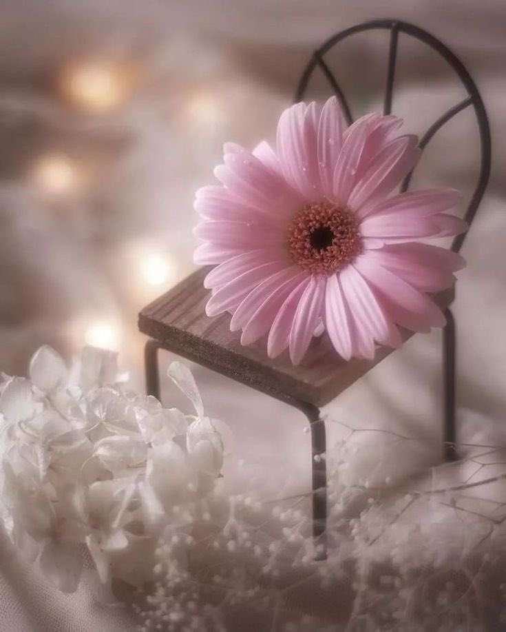 𝓙𝓞𝓞𝓓 tweet media