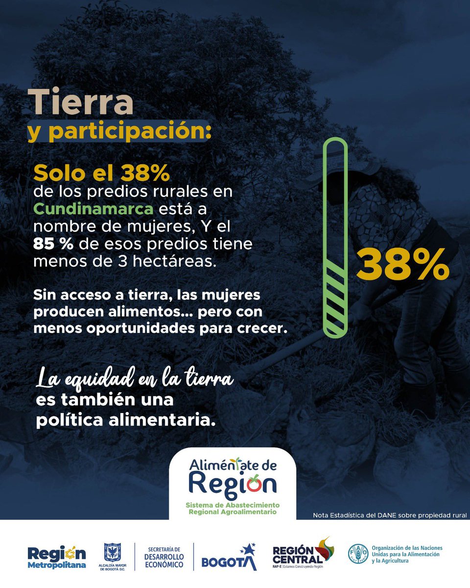 FAO_Colombia's tweet photo. #AliméntateDeRegión | Muchas mujeres producen alimentos, pero no siempre tienen acceso a la tierra. 👩🏽‍🌾

Cerrar esa brecha es clave para que el sistema agroalimentario sea más justo y sostenible. 🌱

🔗https://t.co/GNrhz8fVs7

🫱🏽‍🫲🏾 @SomosRegionMBC @DesarrolloBta @LaRegionCentral https://t.co/MbqafVQnQM