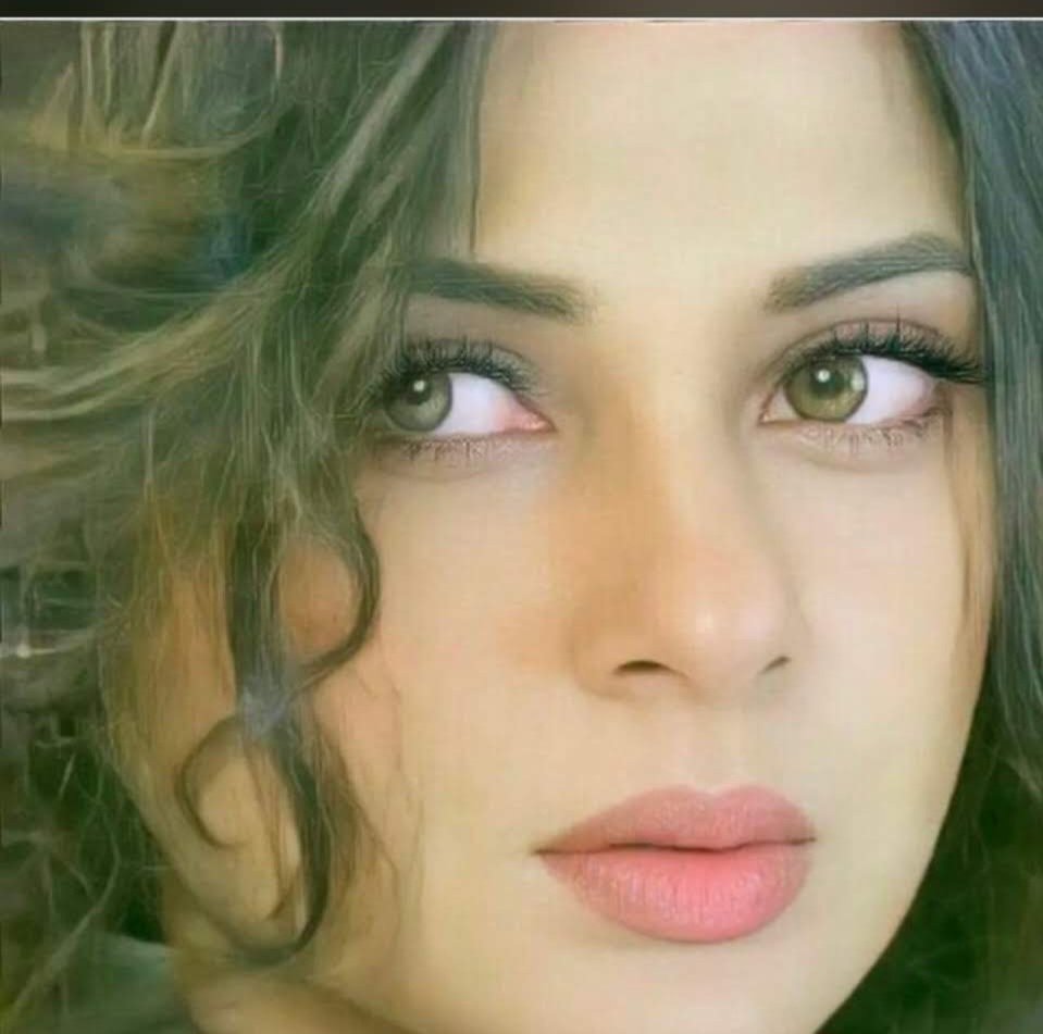 💖💖ETER💚💚 ELWARD❤️❤️ tweet media