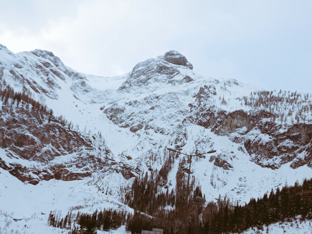 Lutajući Reporter tweet media