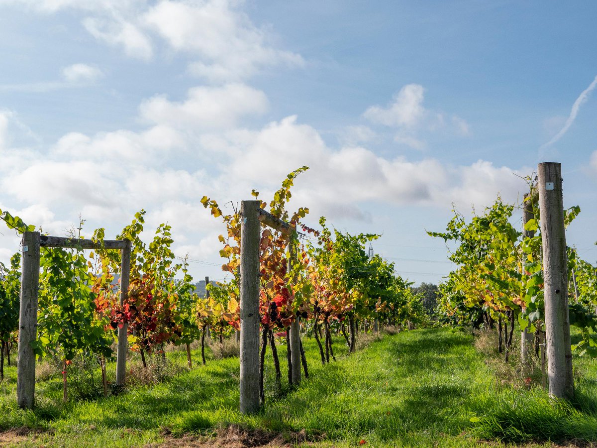 Cambridge Zero tweet media