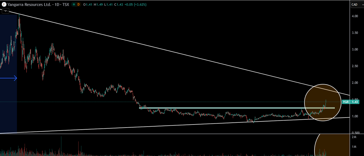 TheApeOfGoldStreet tweet media