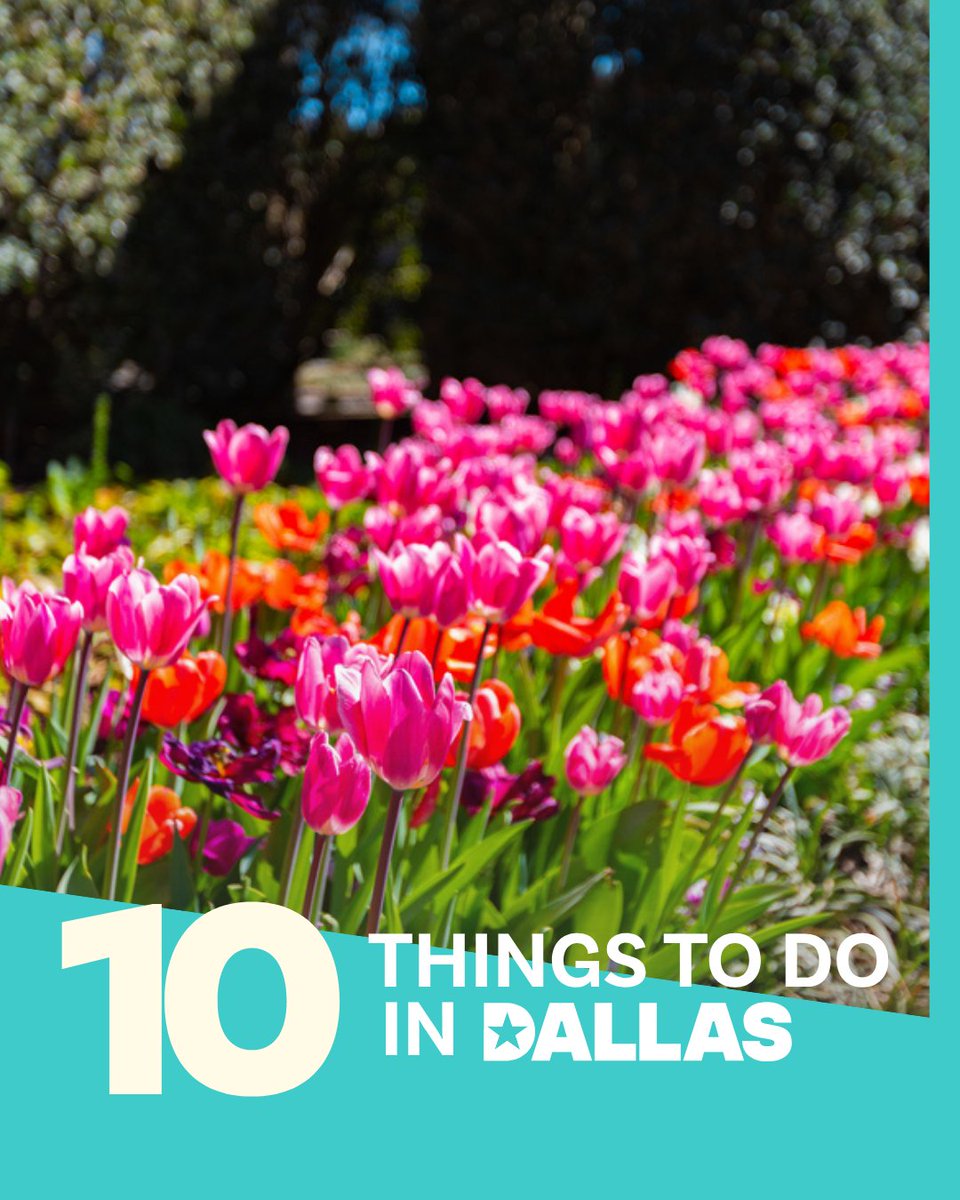Visit Dallas | Things to do in Dallas tweet media