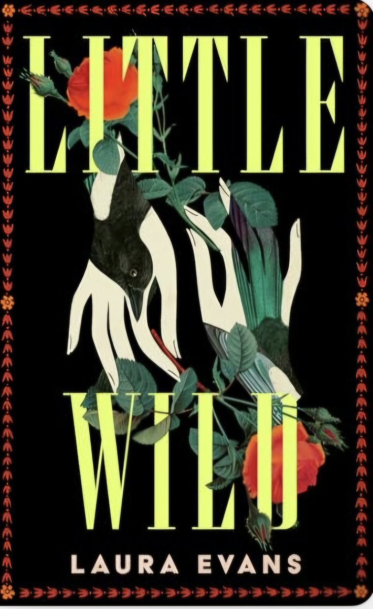 BookreviewsKb's tweet photo. Book 35: #Netgalley #eArc
#LittleWild by #LauraEvans
⭐️⭐️- 2 Stars.
Margaret, Meg, awaits Joanie's return home. But the two are swiftly ripped apart amd Meg must live with her Magpie obsessed father in the woods. How far will Meg's madness take her?
#bookx #booktwt #bookblog https://t.co/HsVW7oMEKy