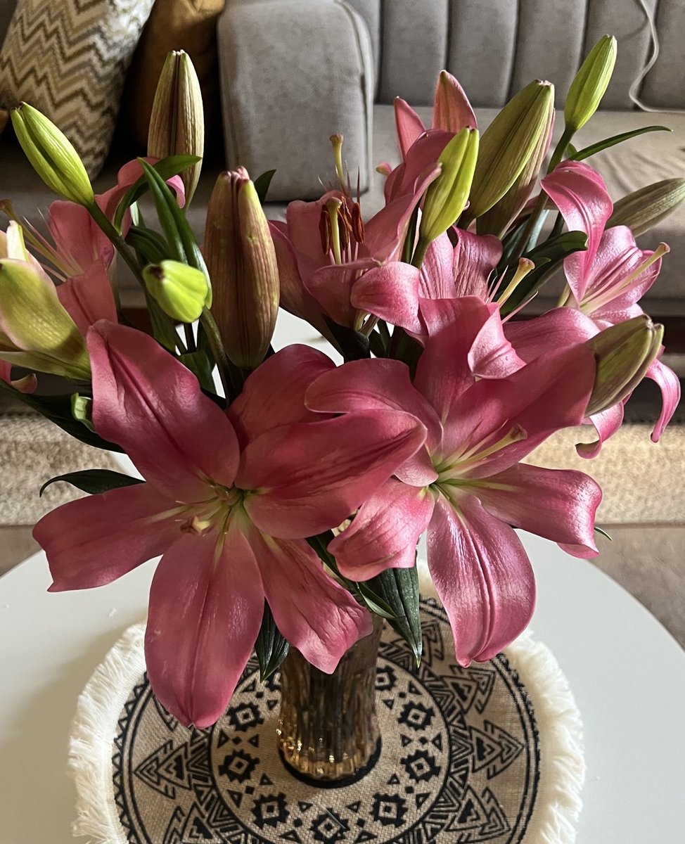 يا رب ليان تجيب امتياز tweet media