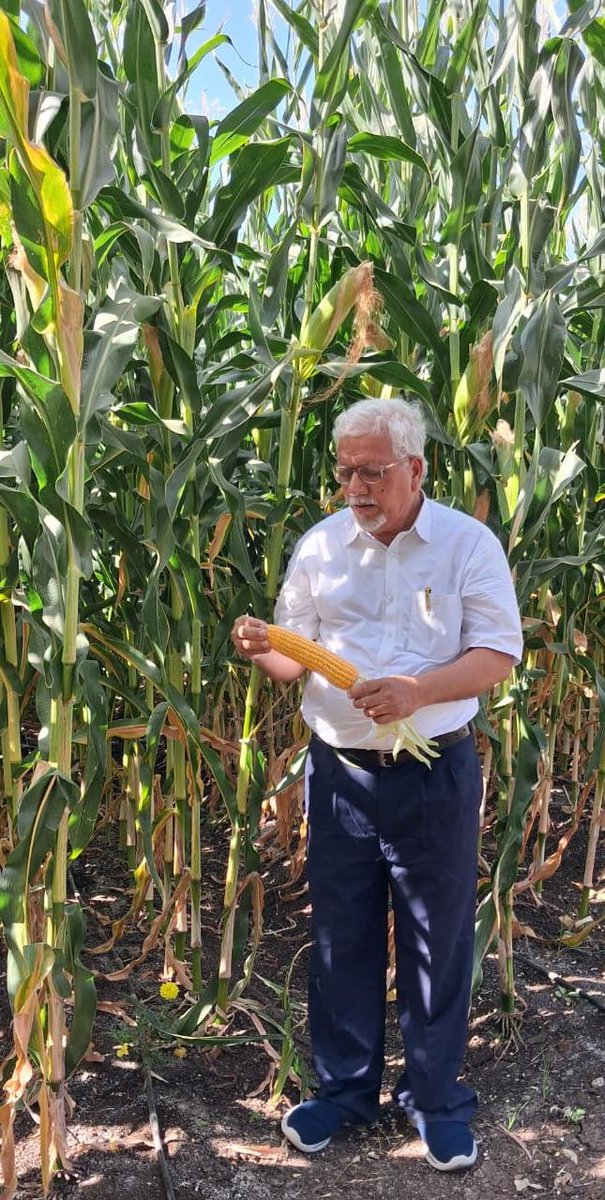 Dr.BD Jade - Sr.Scientist. tweet media