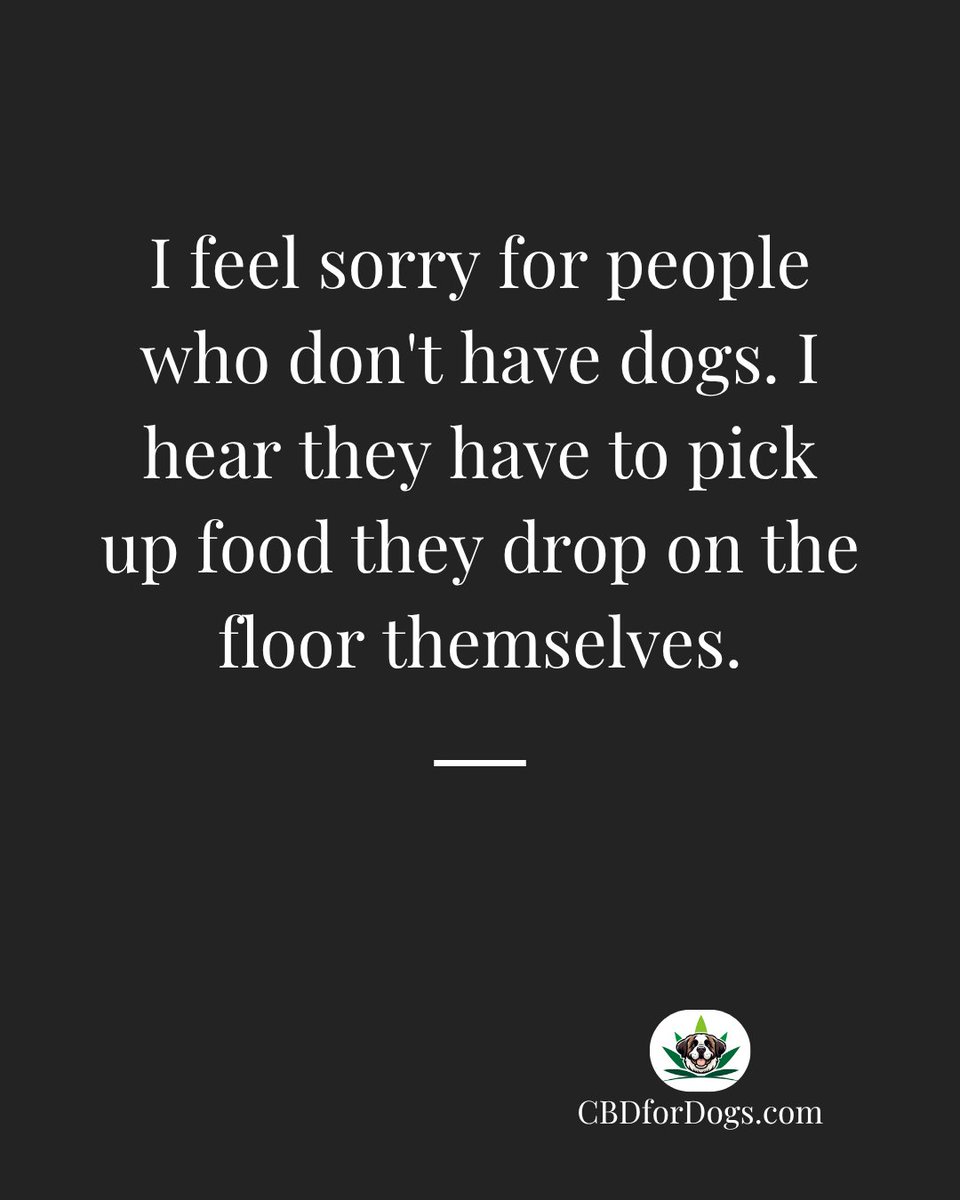 cbdfordogs's tweet photo. One of the many benefits of having a dog.

At https://t.co/3T3OEGVexI, we love your dog! https://t.co/VQc2BxNfsh
