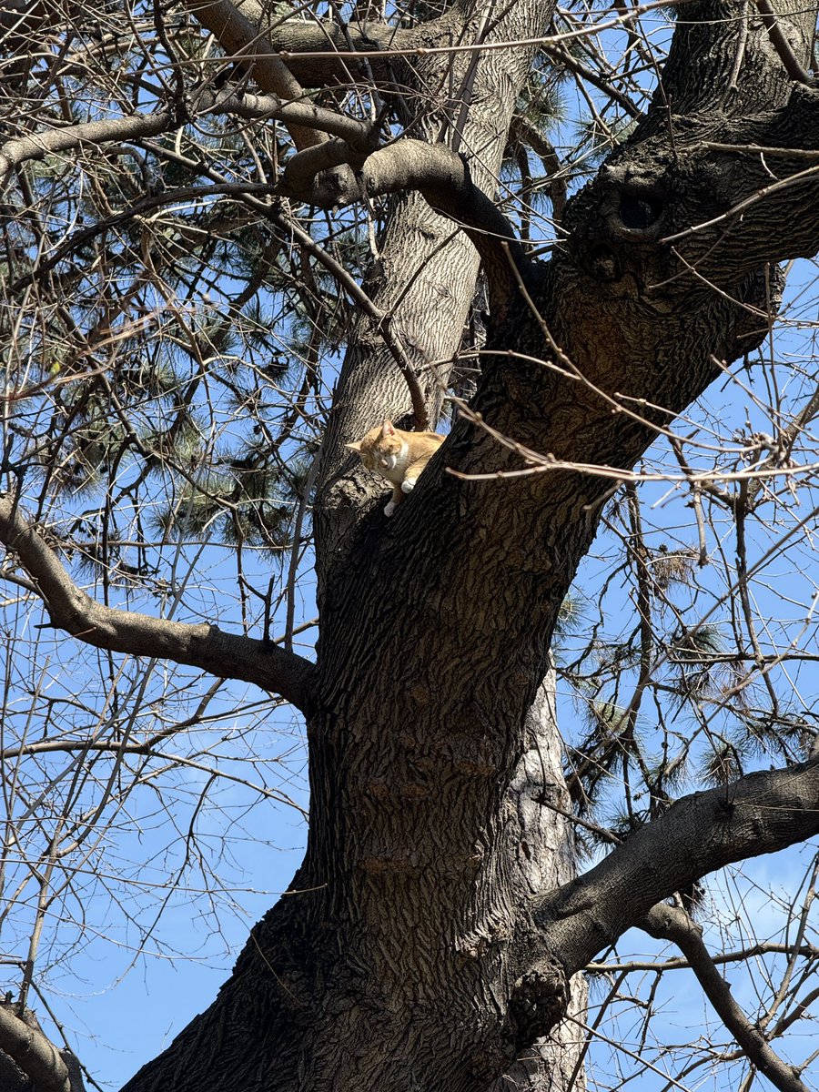 ᴄʜʀɪs 🐳 tweet media