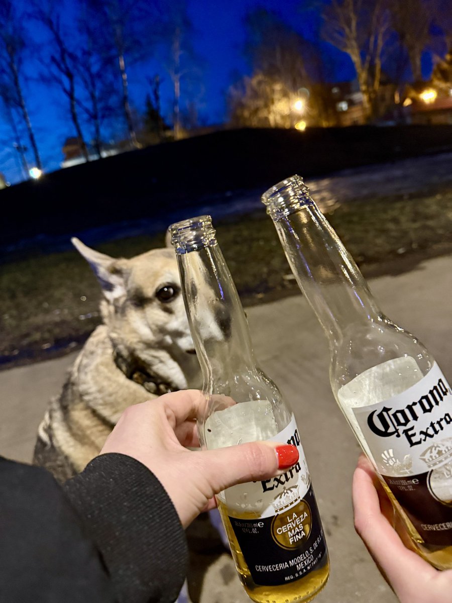 Записки сумасшедшего tweet media