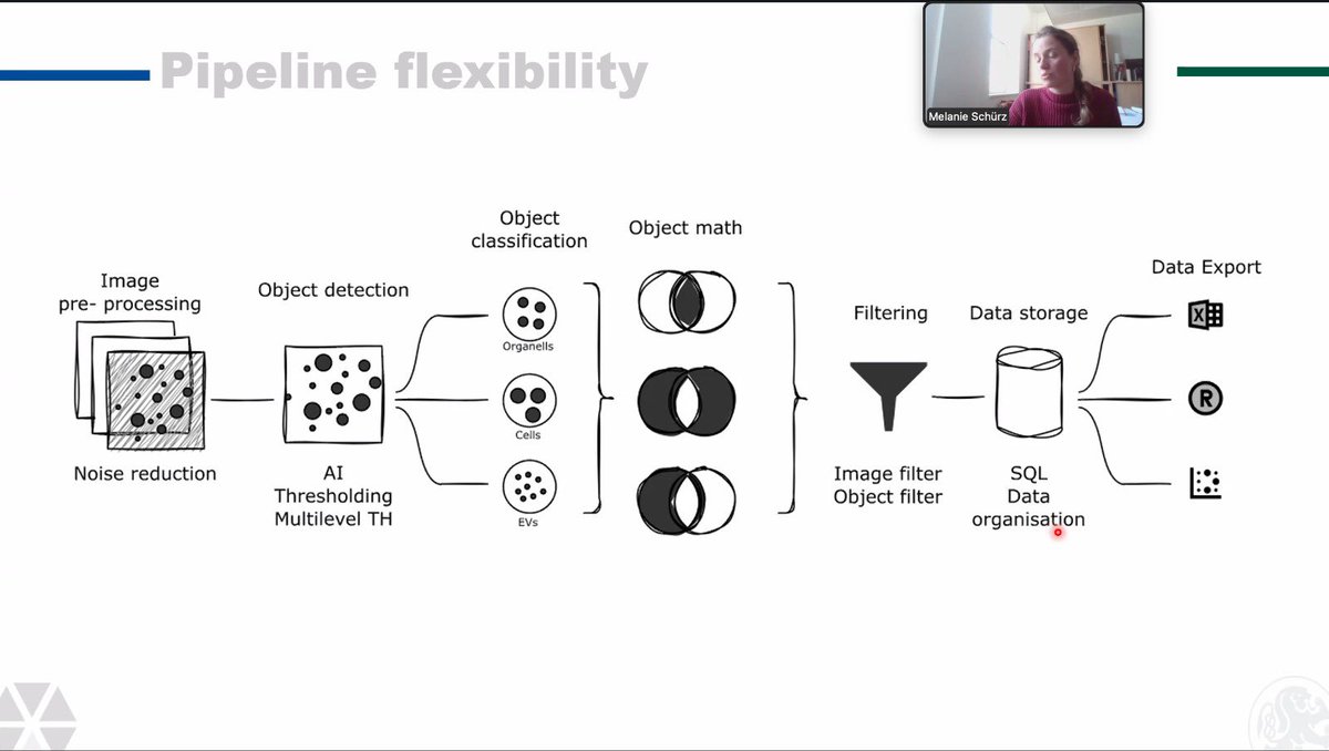 Student Network on EVs tweet media