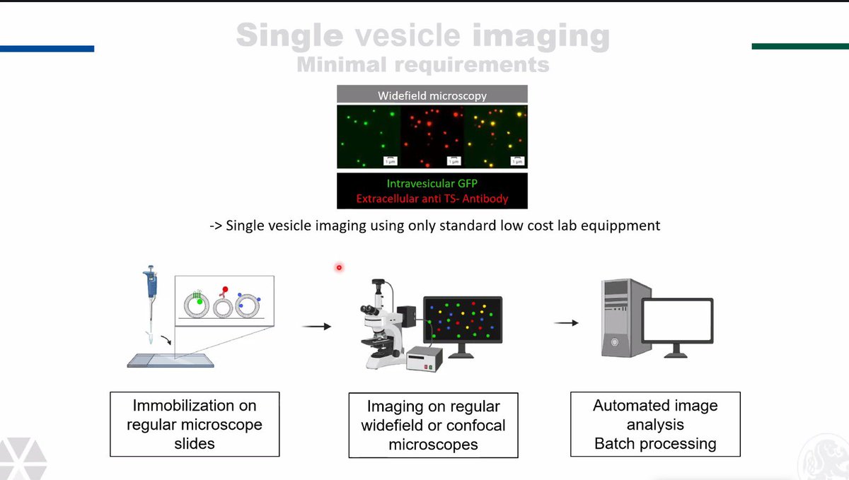 Student Network on EVs tweet media