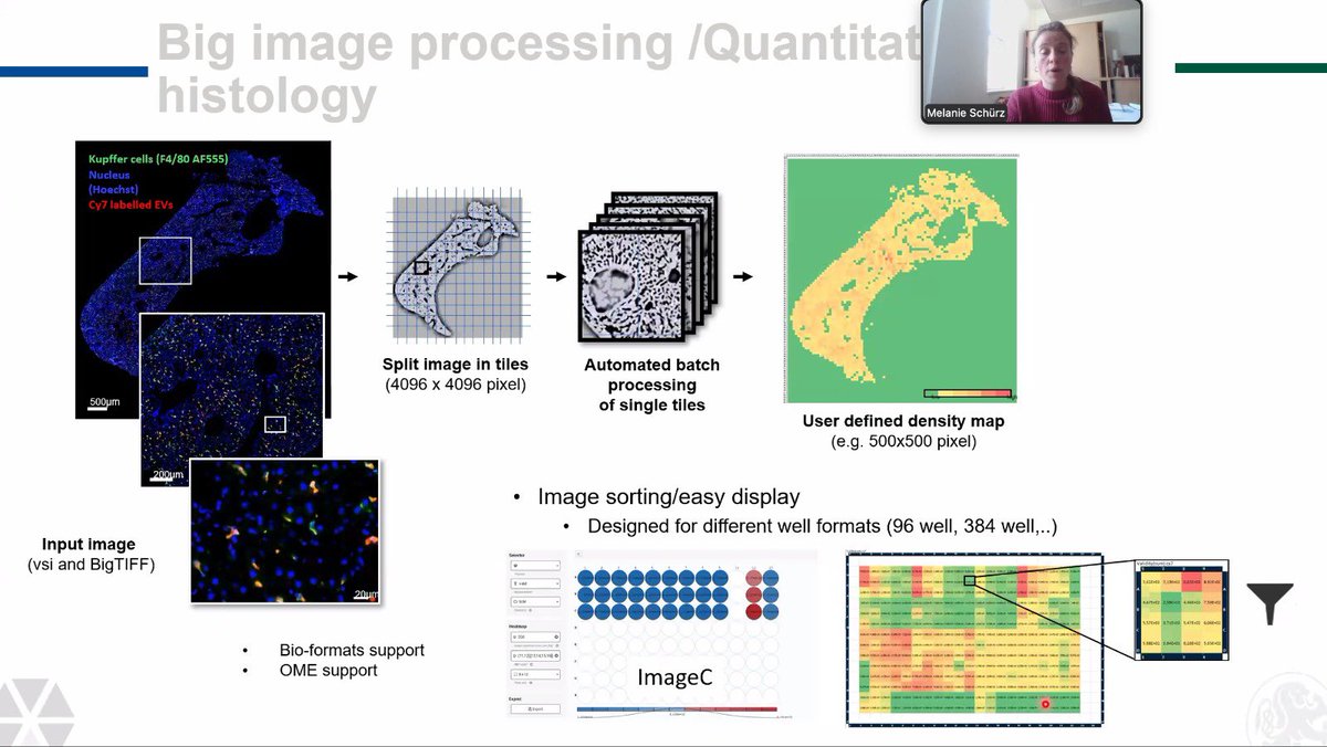 Student Network on EVs tweet media