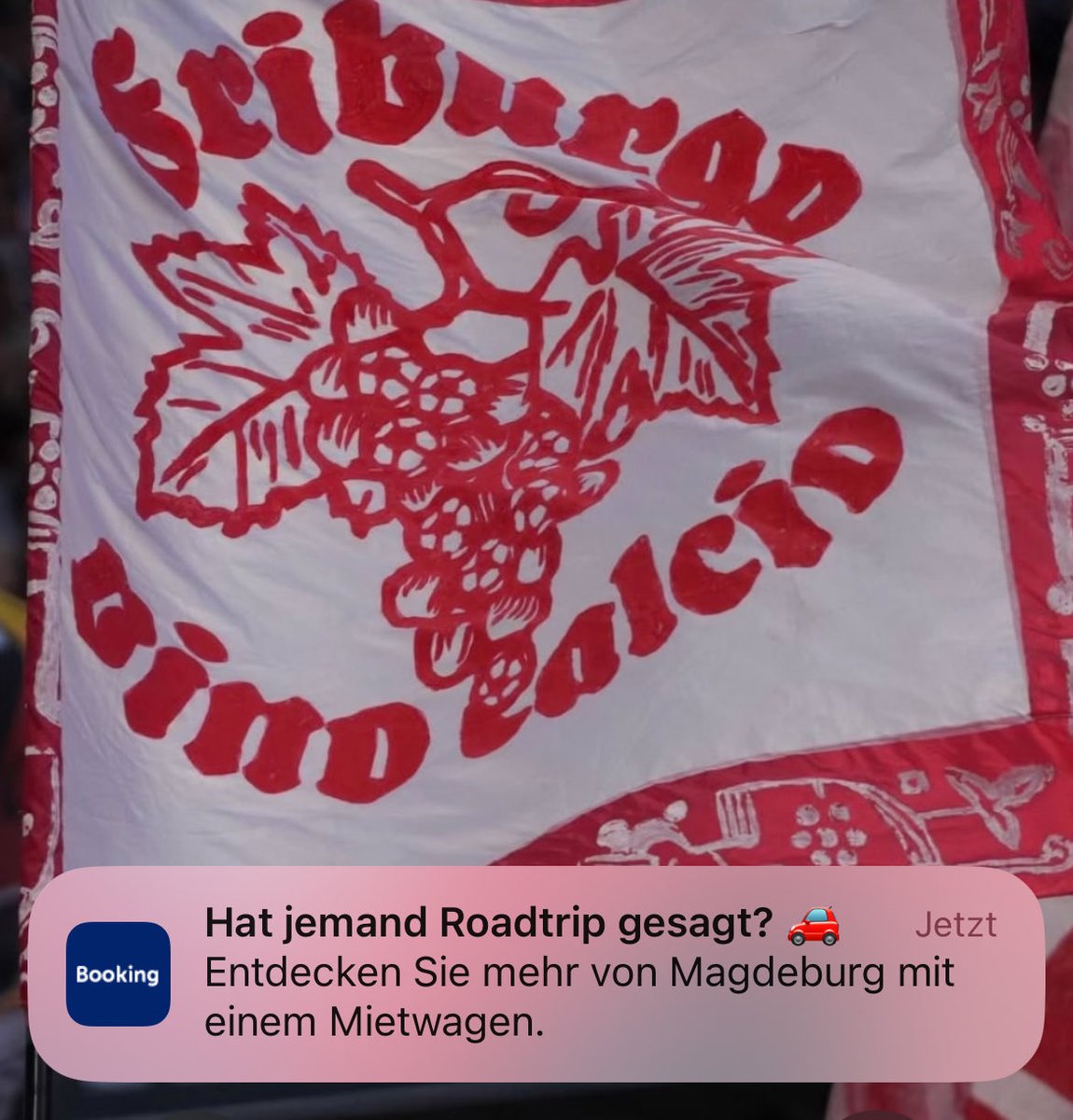 strongthorsten's tweet photo. Bitte nicht lasst mich doch ein mal in ruhe hoppen ihr freaks https://t.co/kTYPrpXIyt