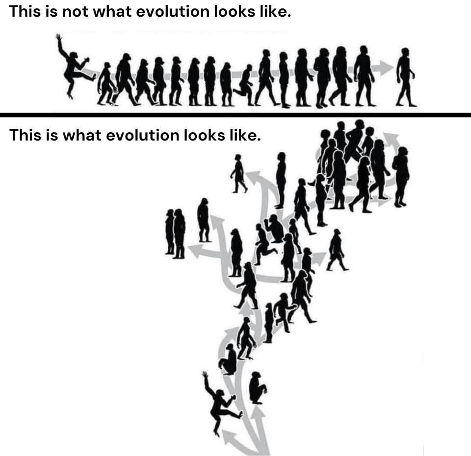 Steve Stewart-Williams tweet media