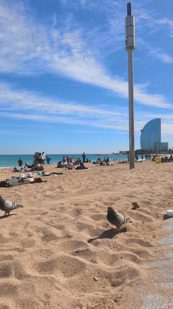 _Maicooool_'s tweet photo. Barcelona es una ciudad tan hermosaaa. https://t.co/0HCELxpEbW