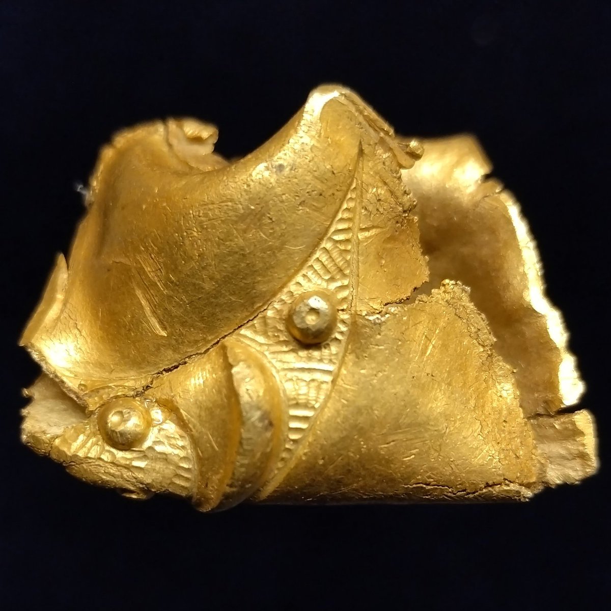 Suffolk Detectorist tweet media