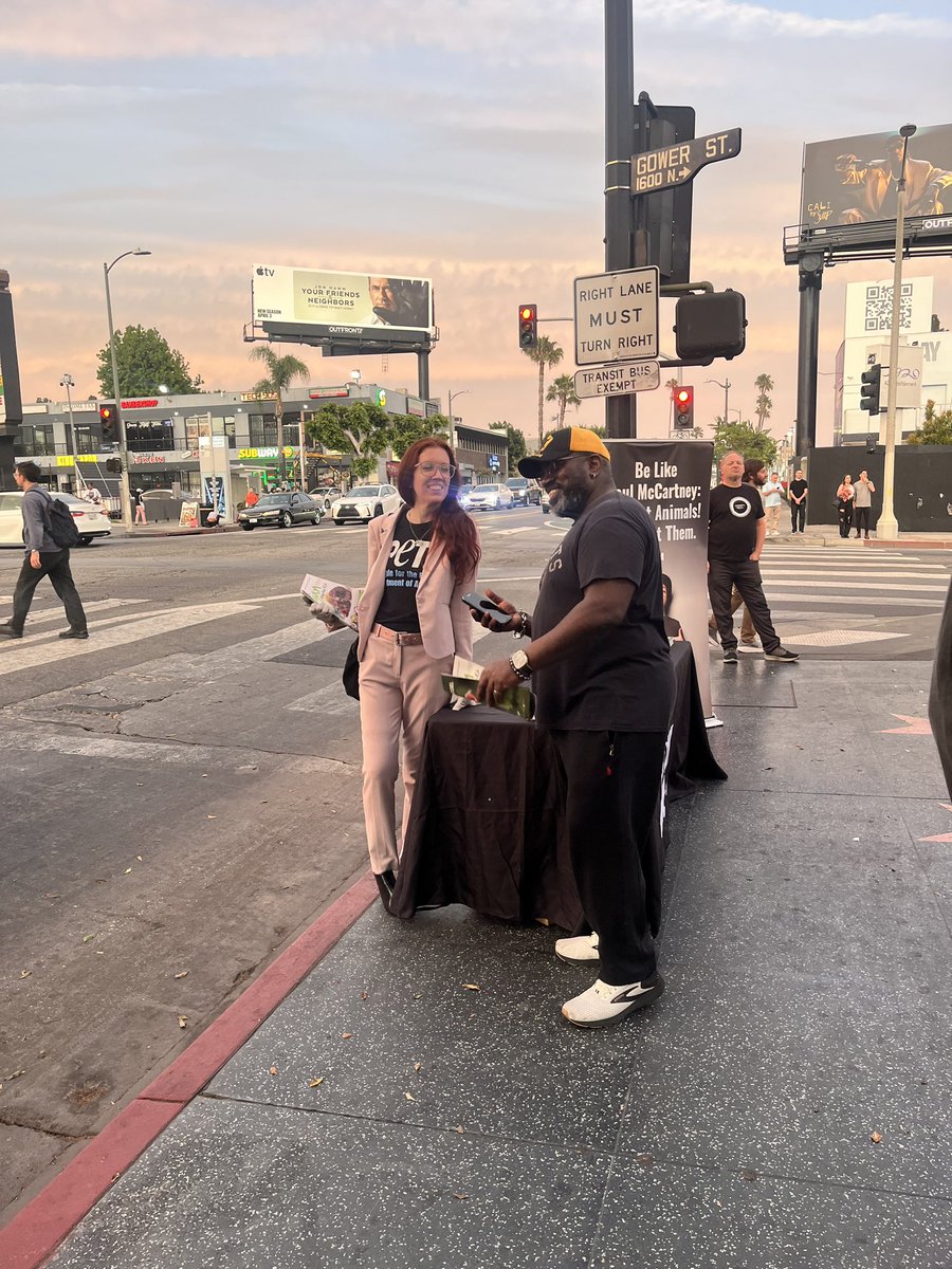 MEGGAN ANDERSON tweet media