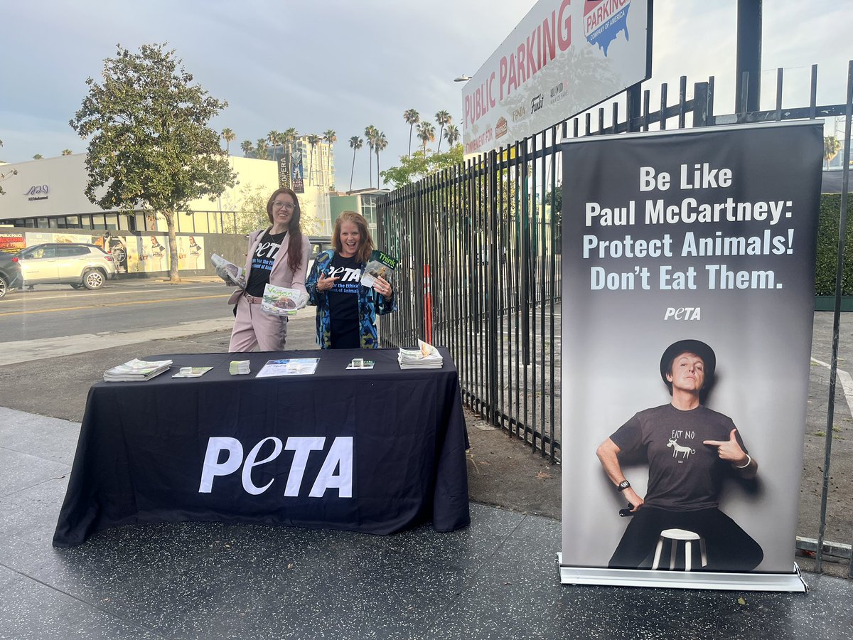 MEGGAN ANDERSON tweet media