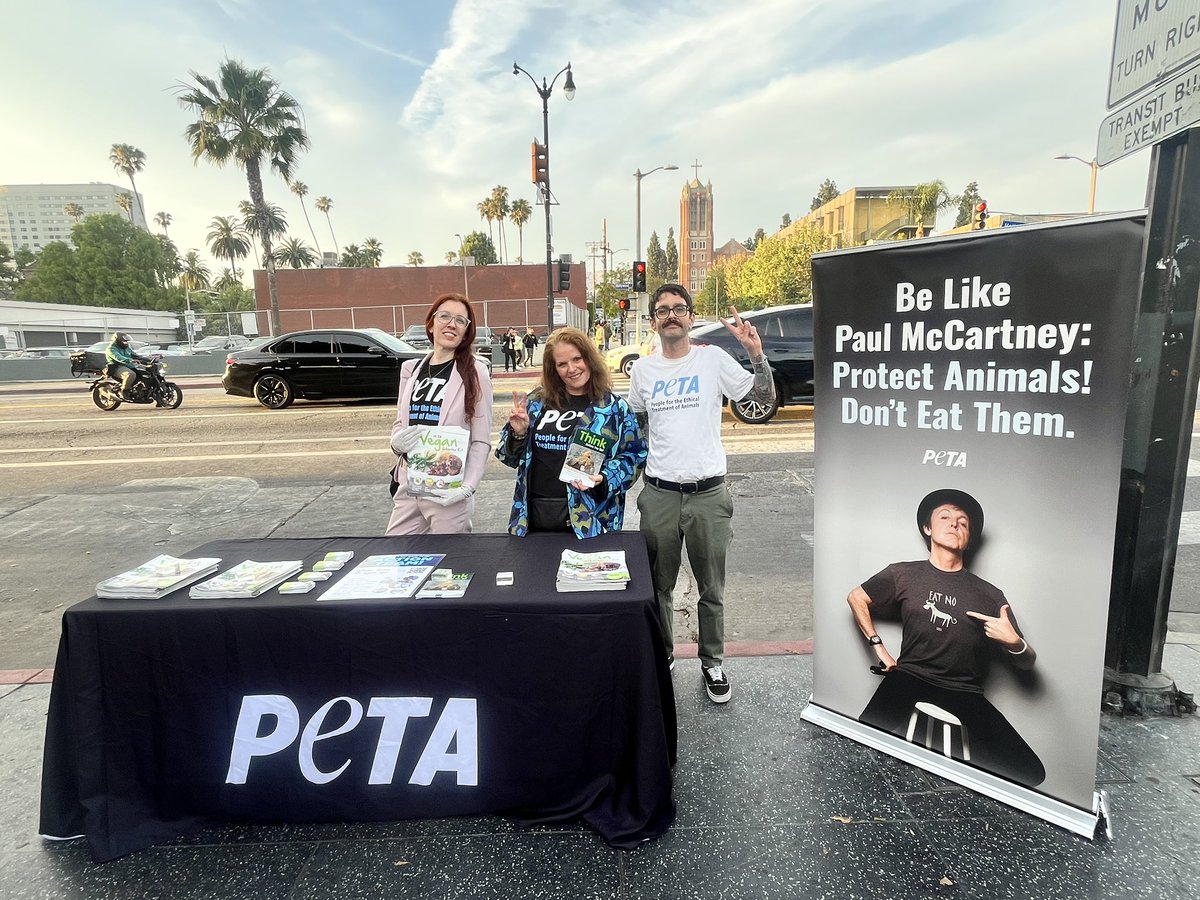 MEGGAN ANDERSON tweet media