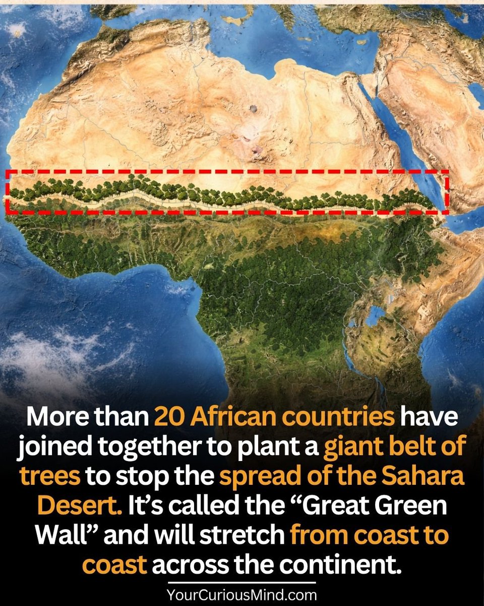 Soulat Pasha tweet media