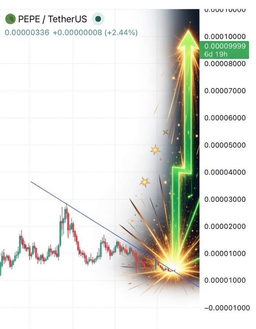 Phantom👻 Whale 🐋🌊💎 tweet media