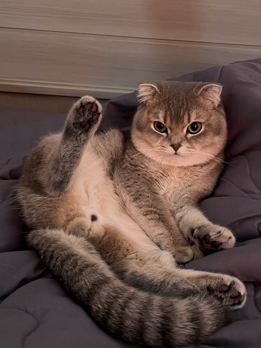 Farimah🇮🇷 tweet media