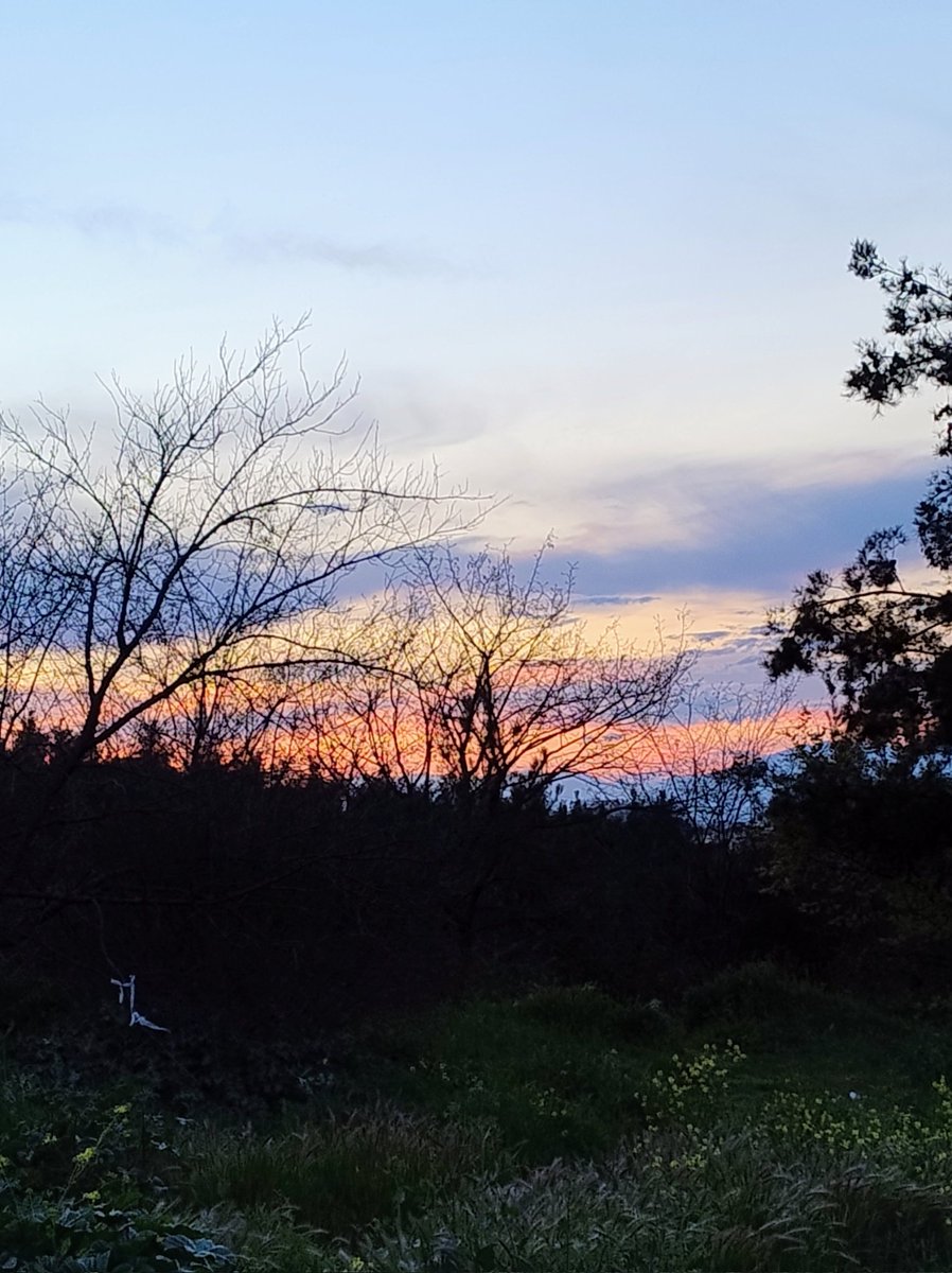 Tonia Mach tweet media