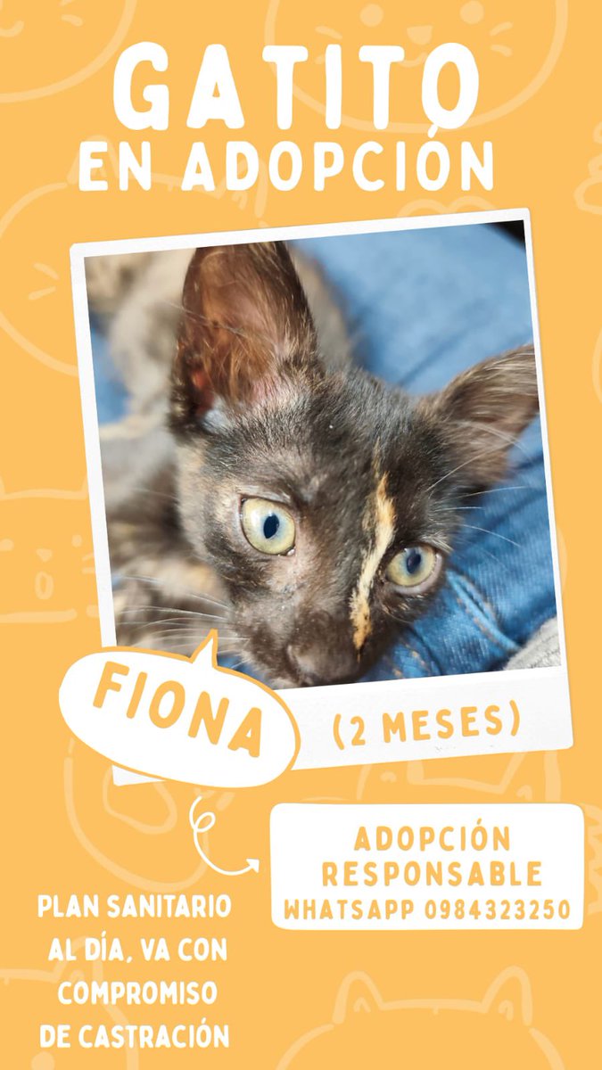 Marcando Huellas tweet media