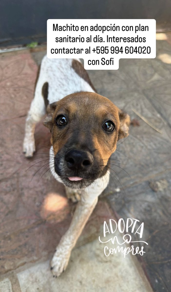 Marcando Huellas tweet media