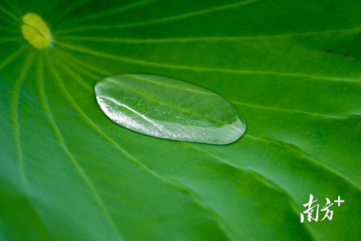 최영훈 tweet media